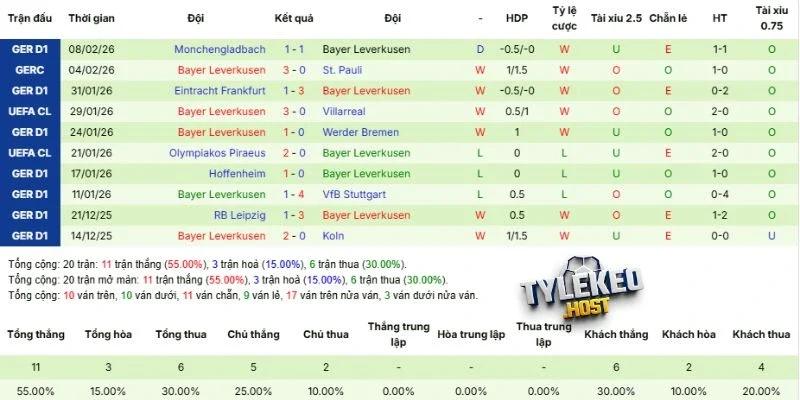 Cập nhật phong độ mới nhất của Leverkusen