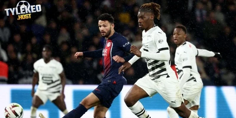 Thành tích thể hiện của Rennes vs PSG